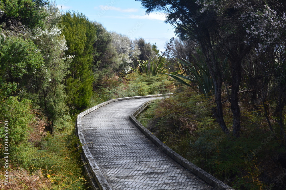 Fototapeta premium nature walk