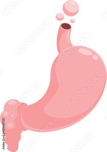 Pink healthy human stomach releasing gas bubbles, digestive system anatomy and physiology