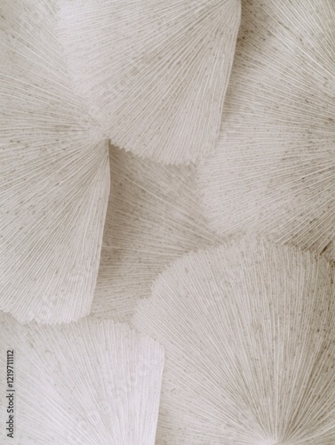Obraz na płótnie Beige textile detail showing fine linear textures, dried pattern in nature w salonie