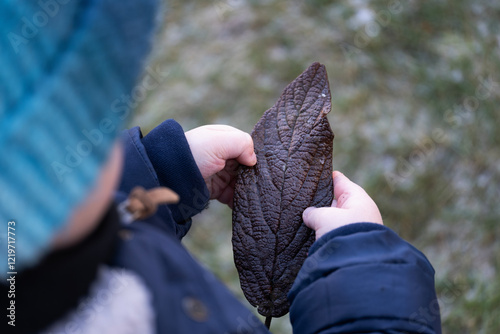 Child holding a frozen leaf, exploring its texture and frost details in winter clothing. The focus is on small hands interacting with nature photo