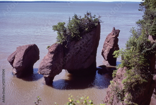The Hopewell Rocks in the Bay of Fundy, New Brunswick (August 1985)