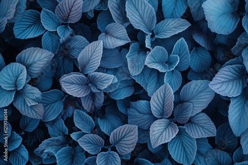 Background with frozen blue leaves photo