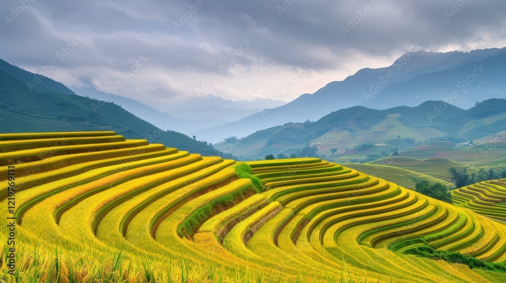 Fototapeta premium Explore the breathtaking rice terraces of Vietnam, where vibrant green fields meet picturesque landscapes.