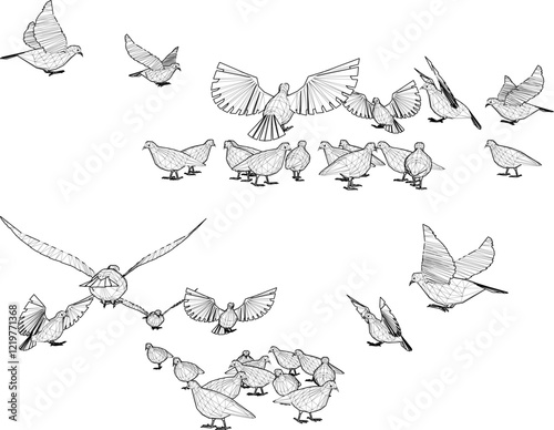 vector illustration design image of a collection of doves flying in the sky looking for food