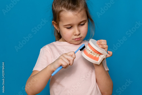 Little girl holding tooth jaw, toothbrush on blue background. Kid training oral hygiene. Child learning brushing, cleaning teeth. Prevention of caries in children. children dentistry. dental care kids photo