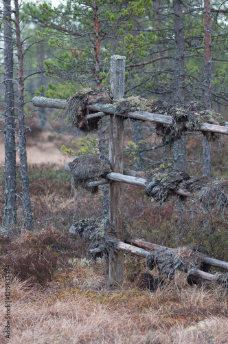 Old fence structure with drying peat on it in Western Finland photo