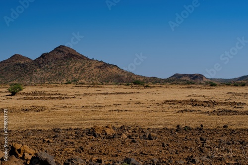 A drought affecting agricultural fields, with parched soil and withered crops under a cloudless sky. 