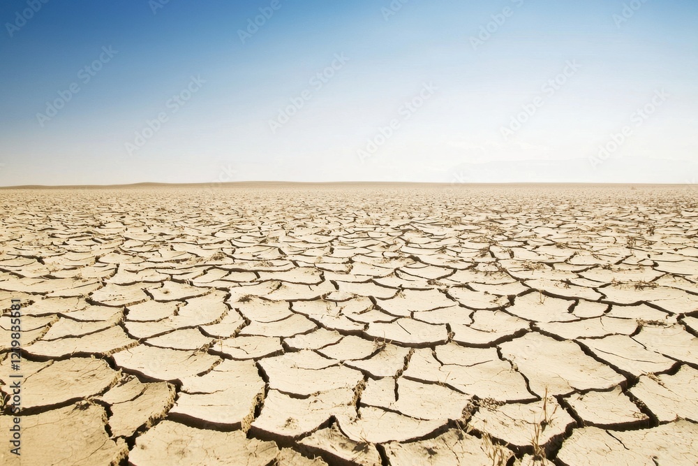 A drought affecting agricultural fields, with parched soil and withered crops under a cloudless sky. A drought affecting agricultural fields, with parched soil and withered crops under a cloudless sky.