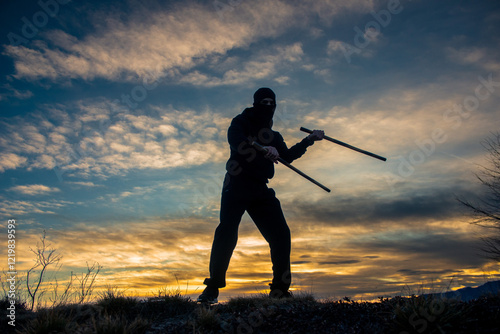 Stick Weapons Combat Training photo