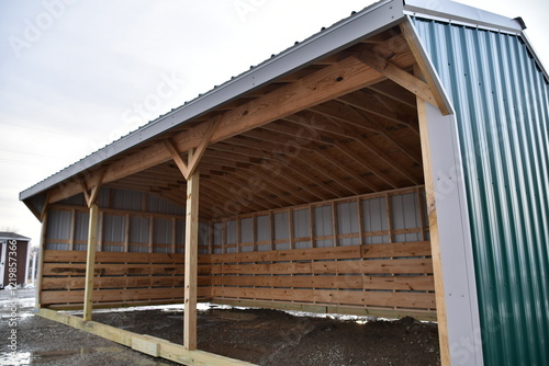 Animal Shelter