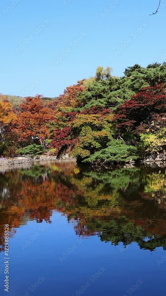 The pond in autumn reflects the colorful leaves and blue sky.가을의 연못은 여러색을로물든 나뭇잎들과 파란하늘을 반영하고 있습니다.