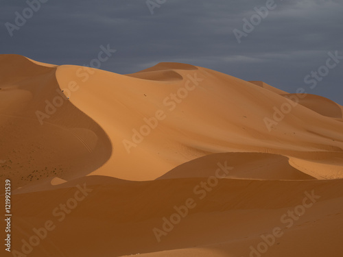 Sand Dune Ridge in the Sahara Desert