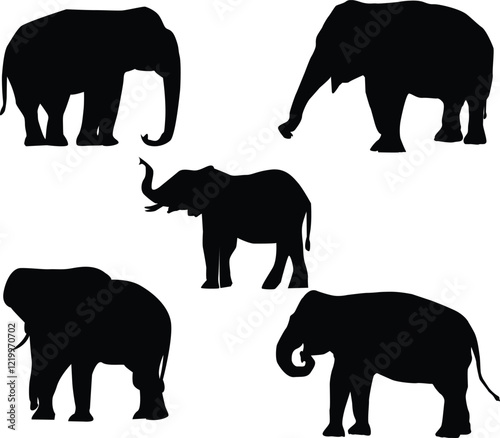 set of elephants ,set of elephants silhouettes ,