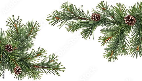 Fresh Pine Branches with Pine Cones Christmas Decoration