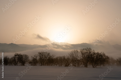 朝の風景　冬