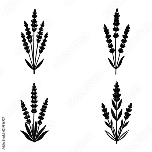 lavender flower set silhouette vector on white background.
