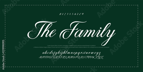 Hand drawn vector alphabet. Modern monoline signature script font. Elegant Signature Font. Best Alphabet Beautiful Calligraphy Signature Font