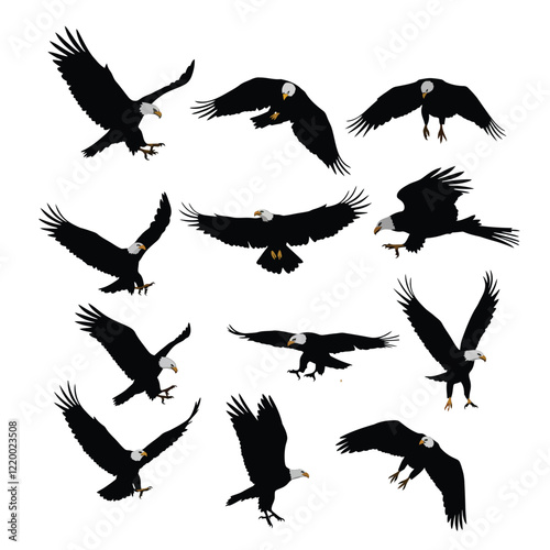 Eagle Vector Illustration Set, Black and White Silhouettes. Collection of Different Eagle Poses