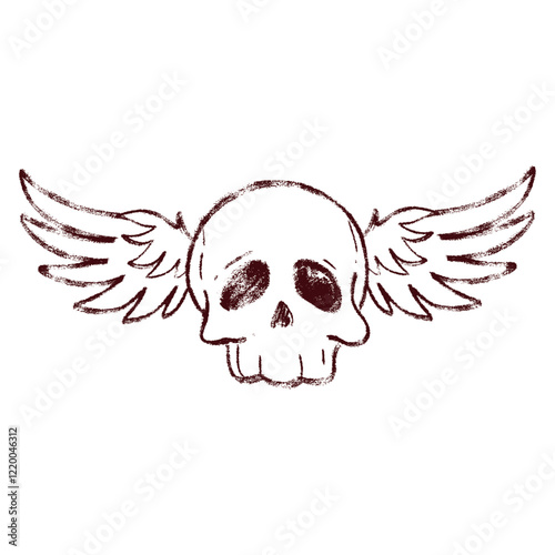 skull and wings design vector illustration 