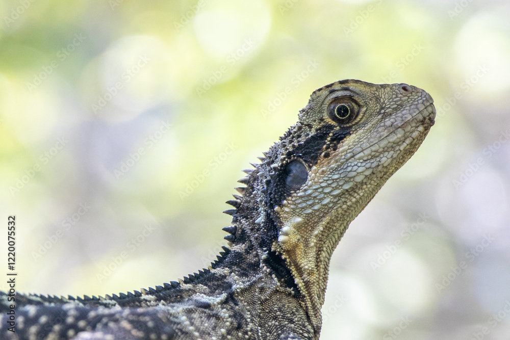 Obraz premium Water Dragon