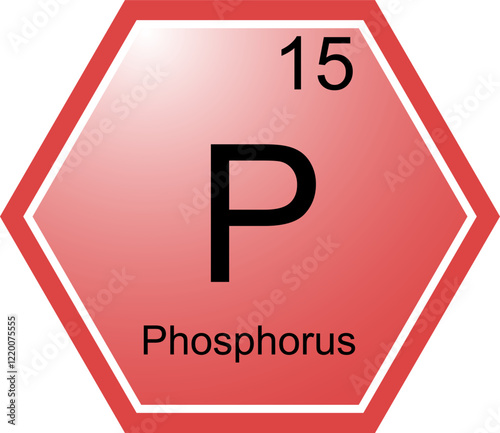Obraz na płótnie The symbol of the chemical element P is Phosphorus. w salonie