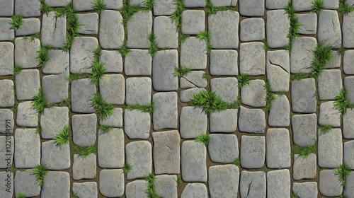 stone pavement with sprouted grass in a summer park top view
