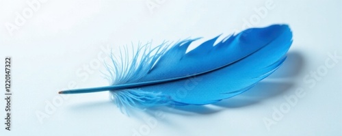Delicate blue feather resting on a white surface, blue feather, nature