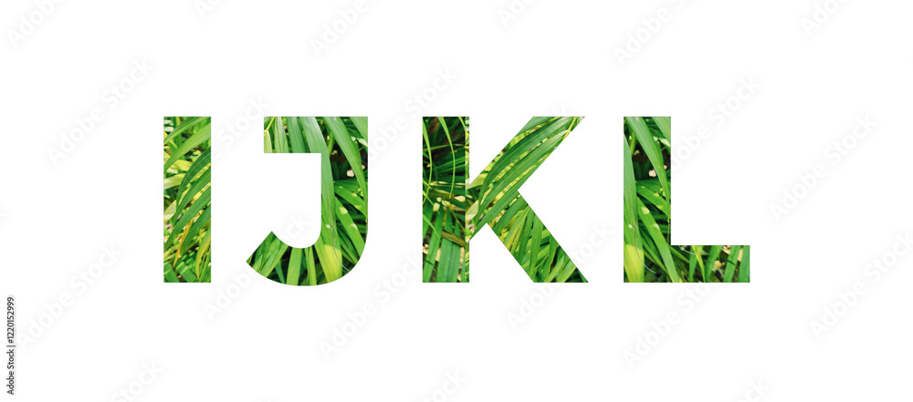 Leaf font I,J,K,L isolated on white background. Leafs font I,J,K,L made of Real alive leaves with Previous paper cut shape of font. Fresh Leafs font typography Leaf font I,J,K,L isolated on white background. Leafs font I,J,K,L made of Real alive leaves with Previous paper cut shape of font. Fresh Leafs font typography