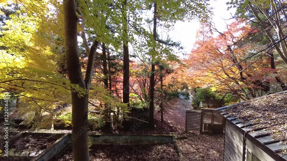 Video about the town of Kinrin LAke Yufuin Japan Video about the town of Kinrin LAke Yufuin Japan