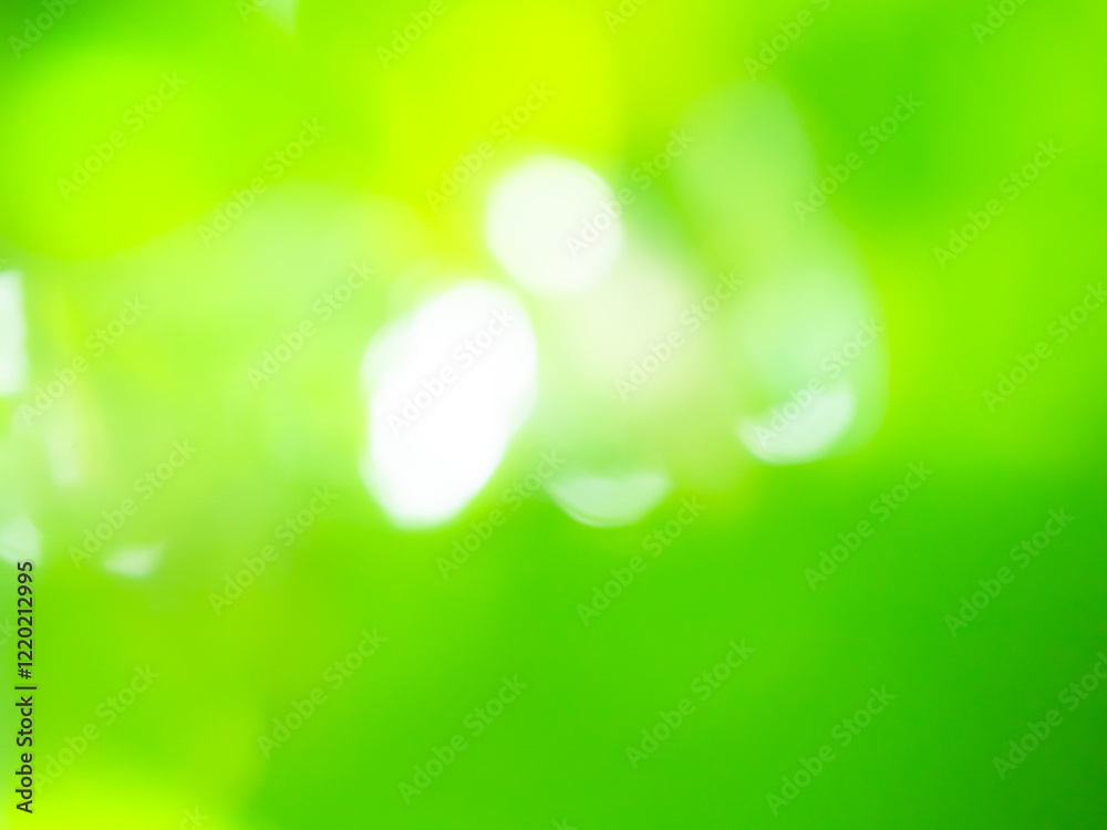 Obraz premium Green background blur abstract light pattern texture spring forest soft focus, plant day backdrop garden design for aroma spa herb, ecosystem environment change future.