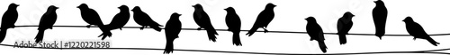 birds on power wires silhouette