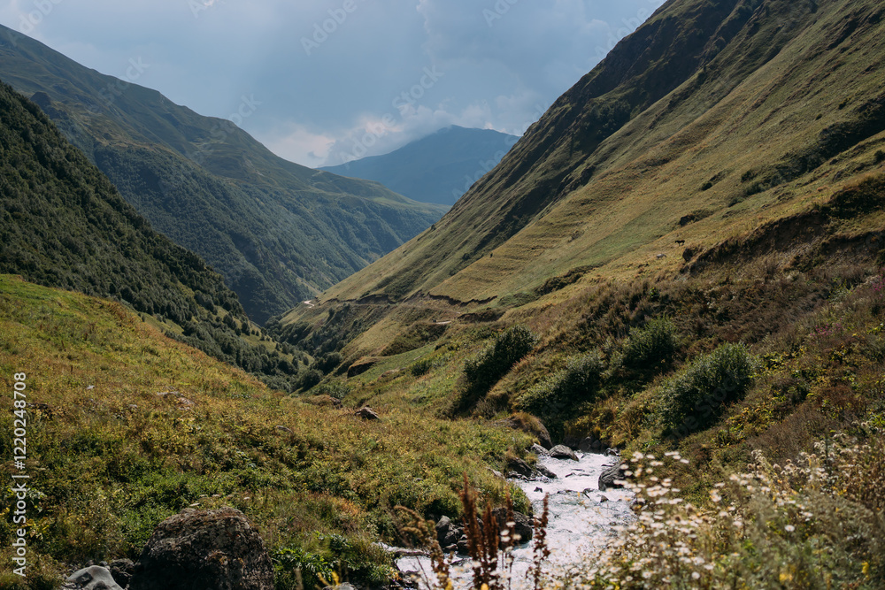 A turbulent mountain river in the gorge of the mountains of the North Caucasus in Georgia. Summer mountain landscape. A mountain river among the mountains. The gorge is high in the mountains A turbulent mountain river in the gorge of the mountains of the North Caucasus in Georgia. Summer mountain landscape. A mountain river among the mountains. The gorge is high in the mountains