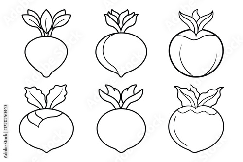 Rutabaga line icon set Illustration. Simple and Stylish Design Template