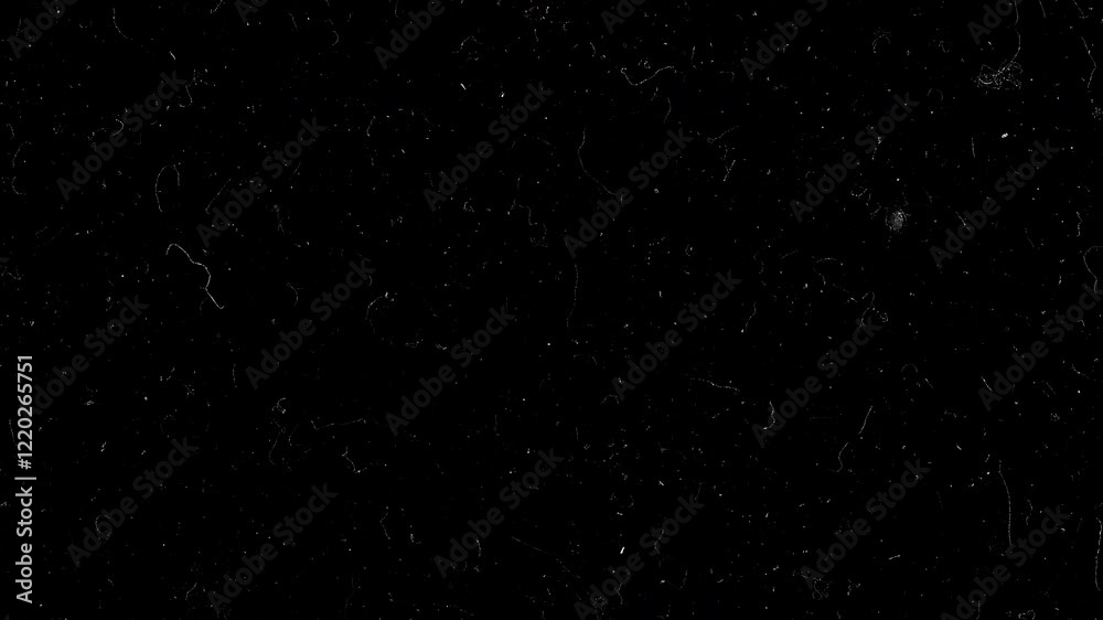 Dust and Scratches Texture on Black Background for Vintage Film Effect