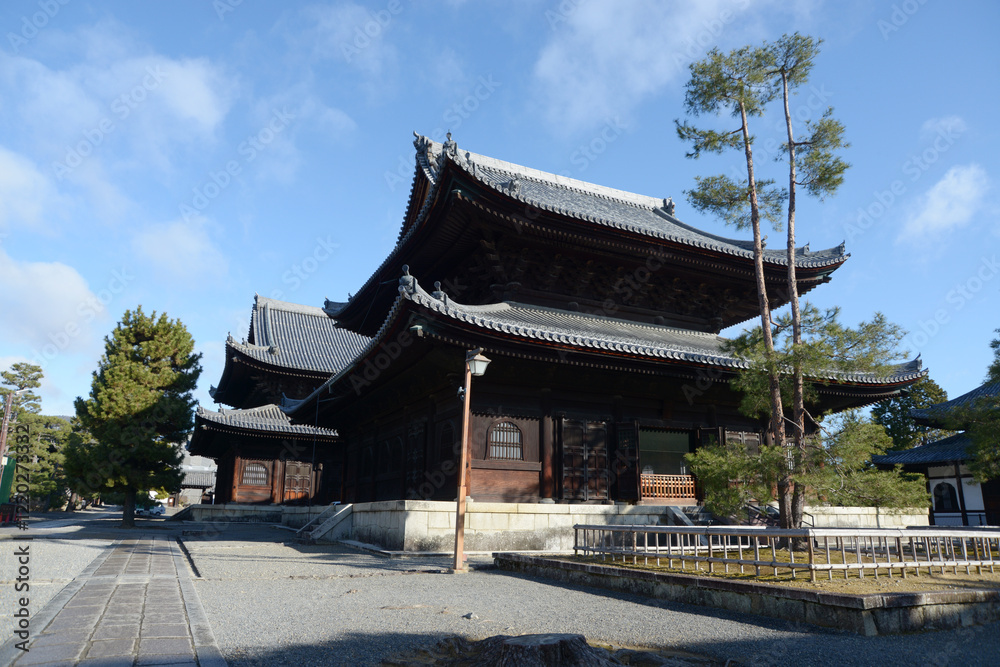 妙心寺 法堂と仏殿 京都市右京区花園 妙心寺 法堂と仏殿 京都市右京区花園