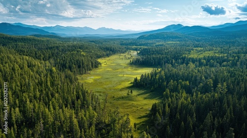 Aerial view of lush green valley, mountains backdrop, summer day