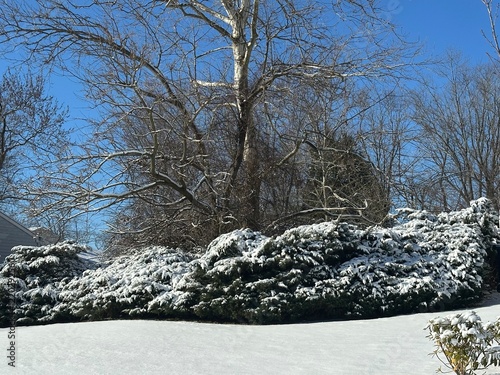 Winter snowscape landscape