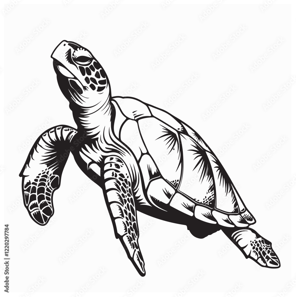 Fototapeta premium Turtle Vector Images. Drawing Big Turtle Vector Illustration on white background.