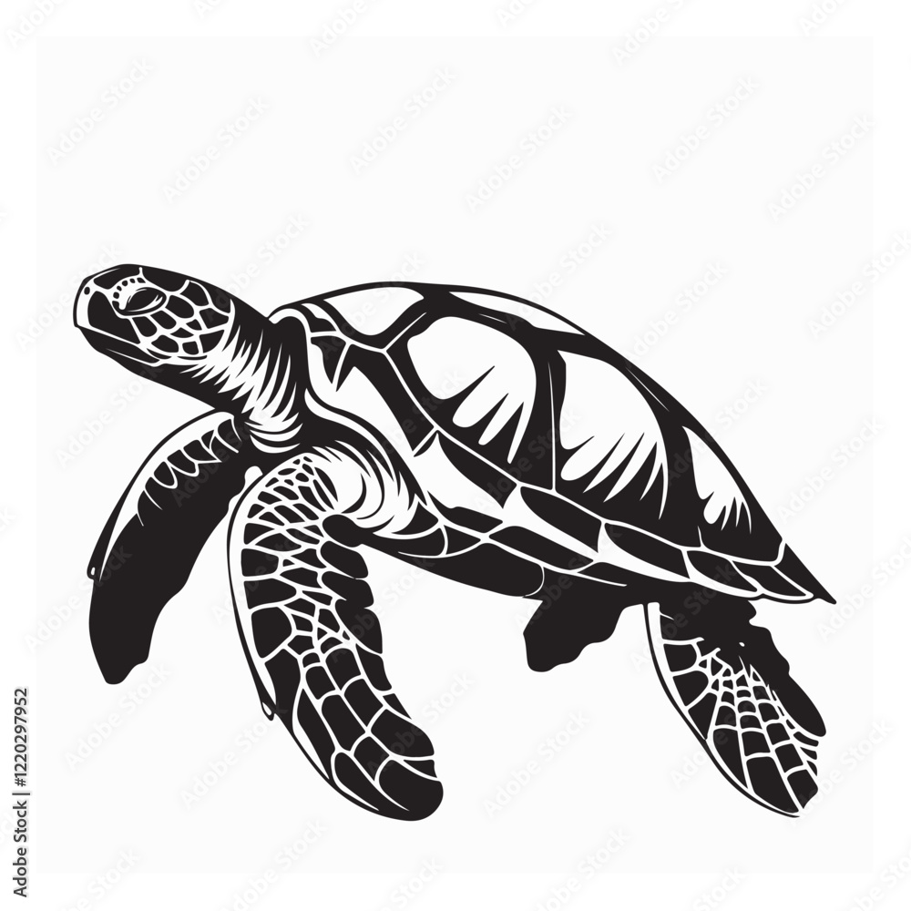 Fototapeta premium Turtle Vector Images. Drawing Big Turtle Vector Illustration on white background.