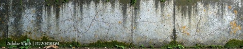 Weathered wall showcasing peeling paint and mossy textures, ideal for design projects.
