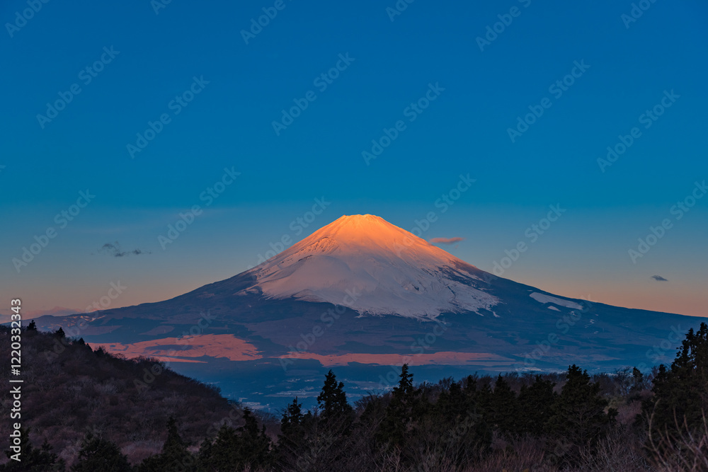Fototapeta premium 富士山