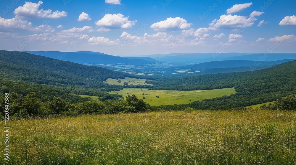 Panoramic Valley View: A Breathtaking Summer Landscape Panoramic Valley View: A Breathtaking Summer Landscape