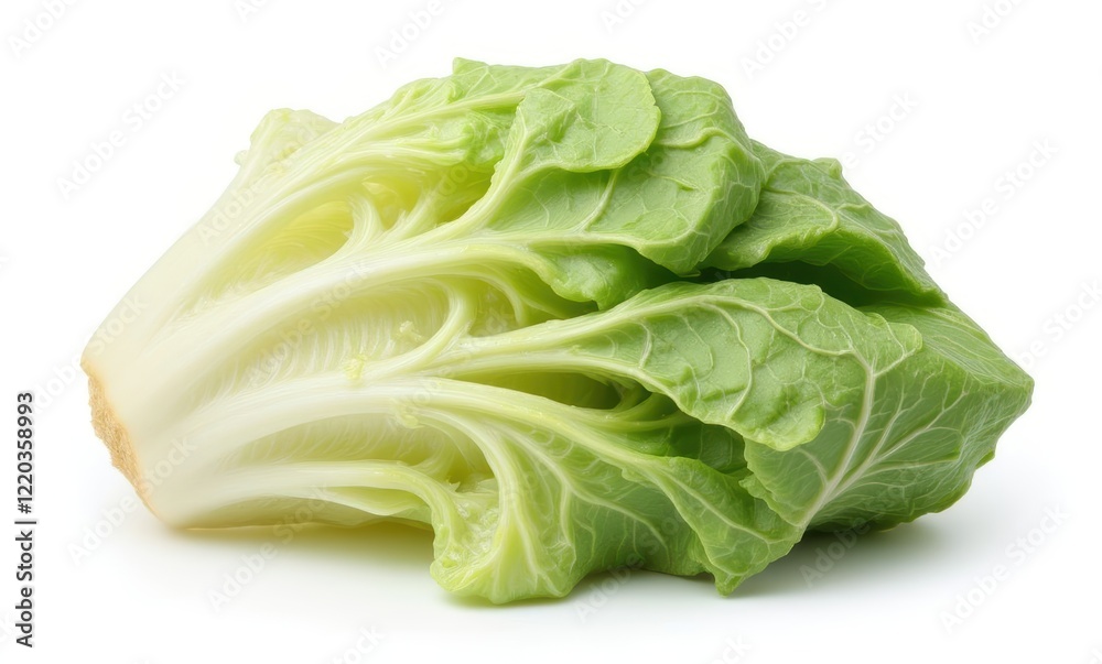 Fresh green napa cabbage on white background Fresh green napa cabbage on white background