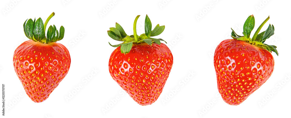 Fresh strawberries arranged in a row for display, cut out - stock png. Fresh strawberries arranged in a row for display, cut out - stock png.