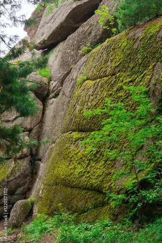 Giant rocks with moss and rocks in the forest