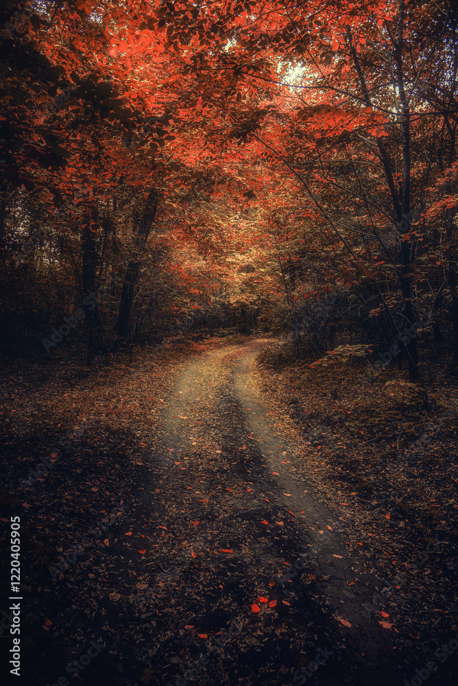Autumn woods Autumn woods