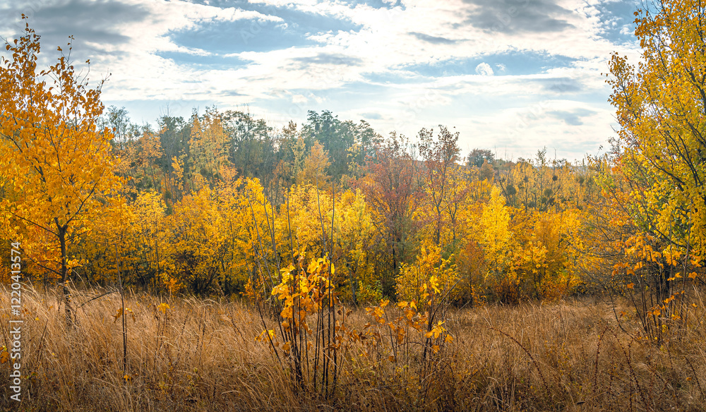 Autumn landscape on river Autumn landscape on river