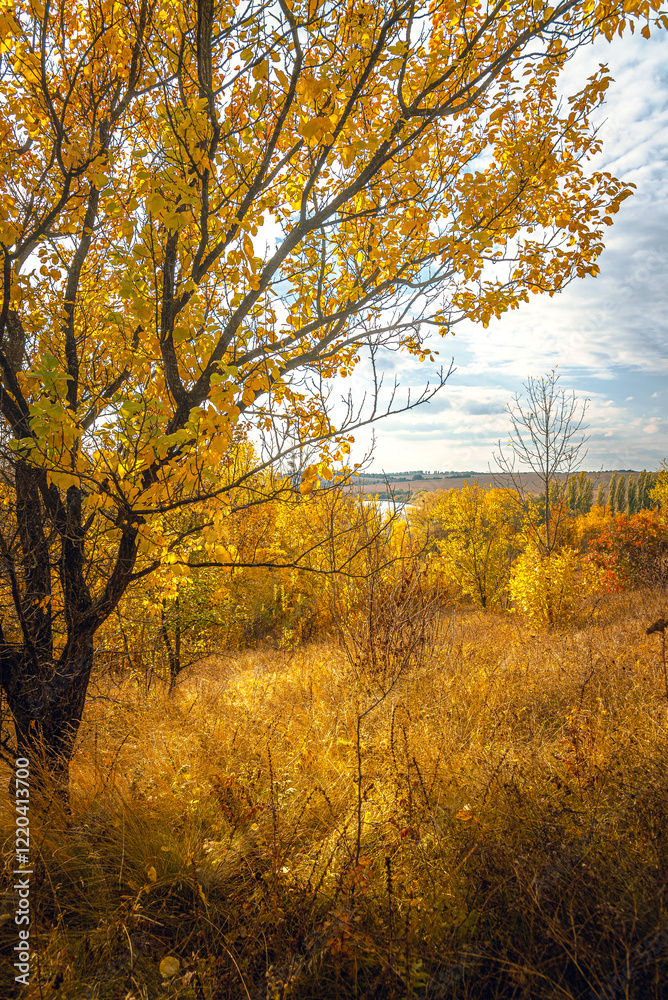 Fototapeta premium Autumn landscape on river