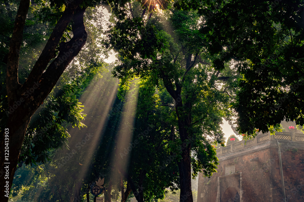 Obraz premium Sunlight Filtering Through Trees at Cửa Bắc Gate, Hanoi