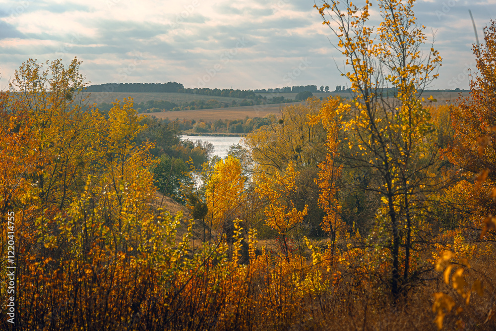 Fototapeta premium Autumn landscape on river